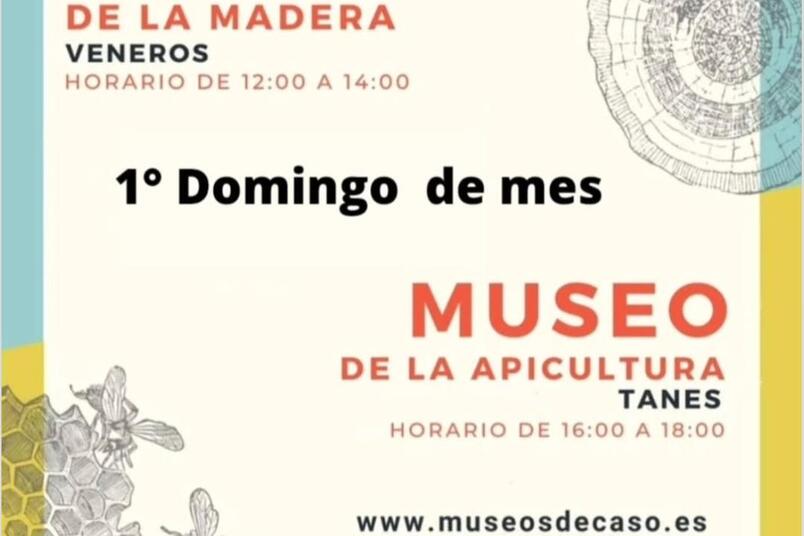 Noticia 1